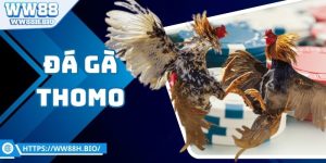 da-ga-thomo