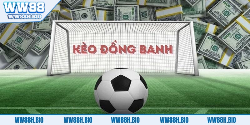 keo-dong-banh-tom-tat-thong-tin