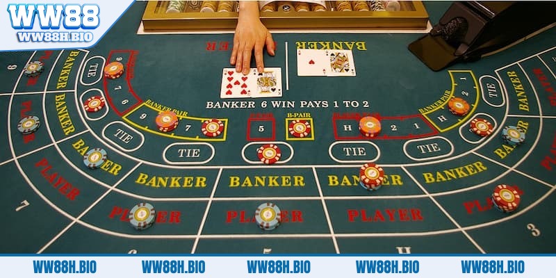 soi-cau-baccarat-tim-hieu-chung-ve-soi-cau