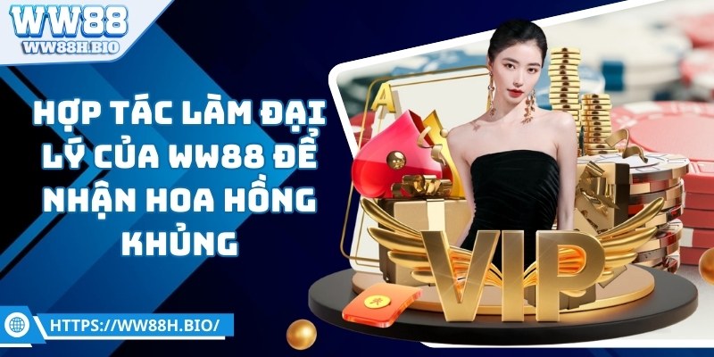ww88-hop-tac-dai-ly