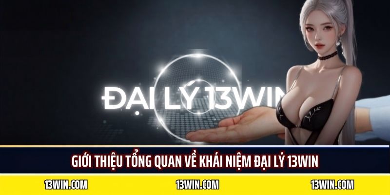 Giới thiệu tổng quan về khái niệm đại lý 13WIN